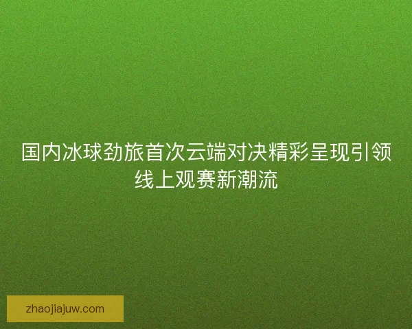 国内冰球劲旅首次云端对决精彩呈现引领线上观赛新潮流